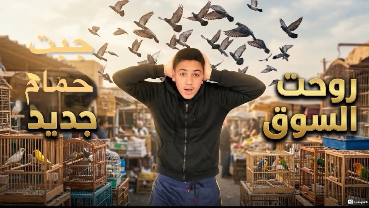 جبت ٧كراتين مليانين حمام😃ومتابعة الحمام والزغاليل😍