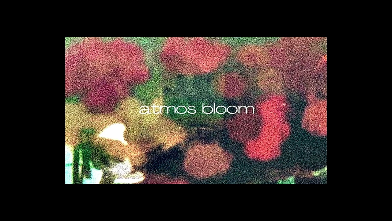 Atmos Bloom -Time (Slow)