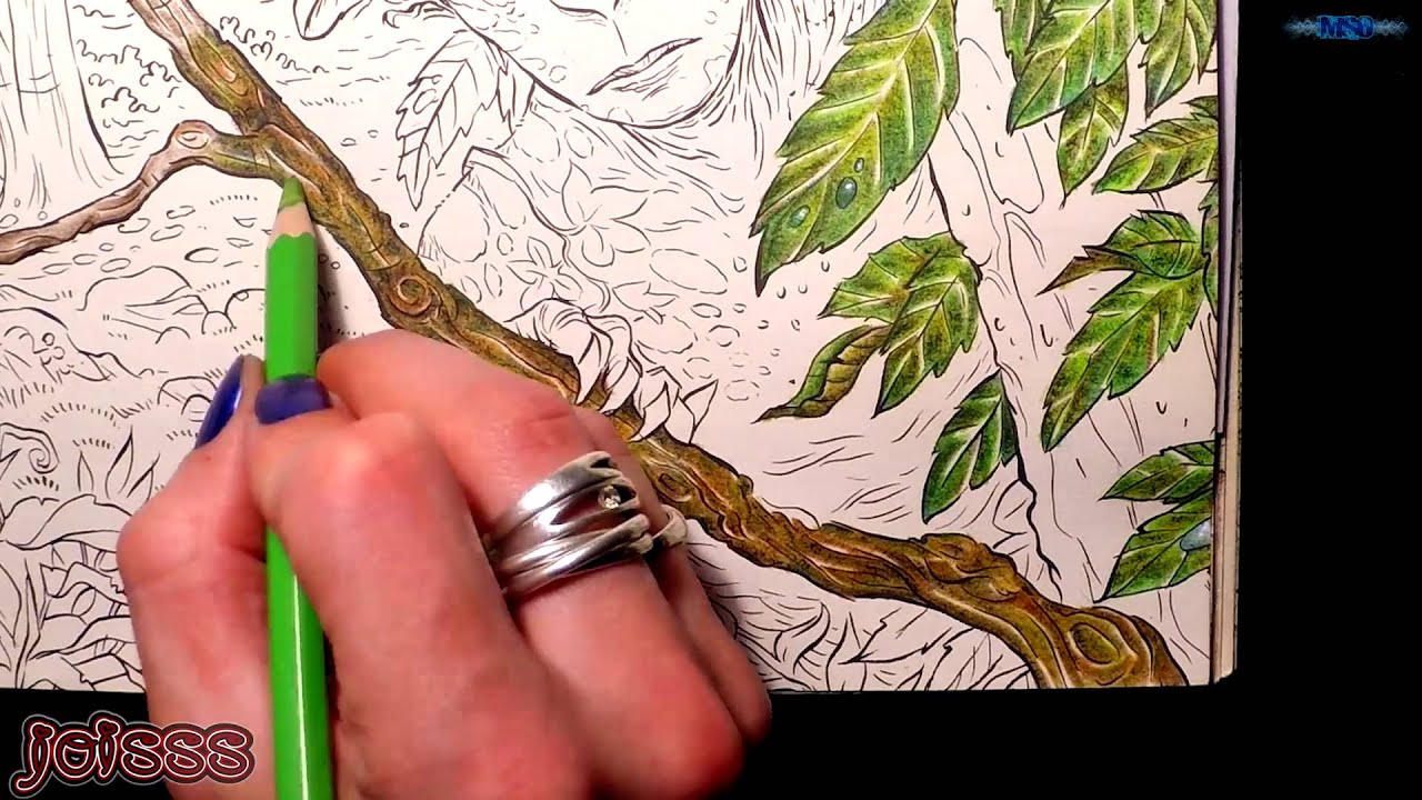 My speed coloring - vol. 3 - 