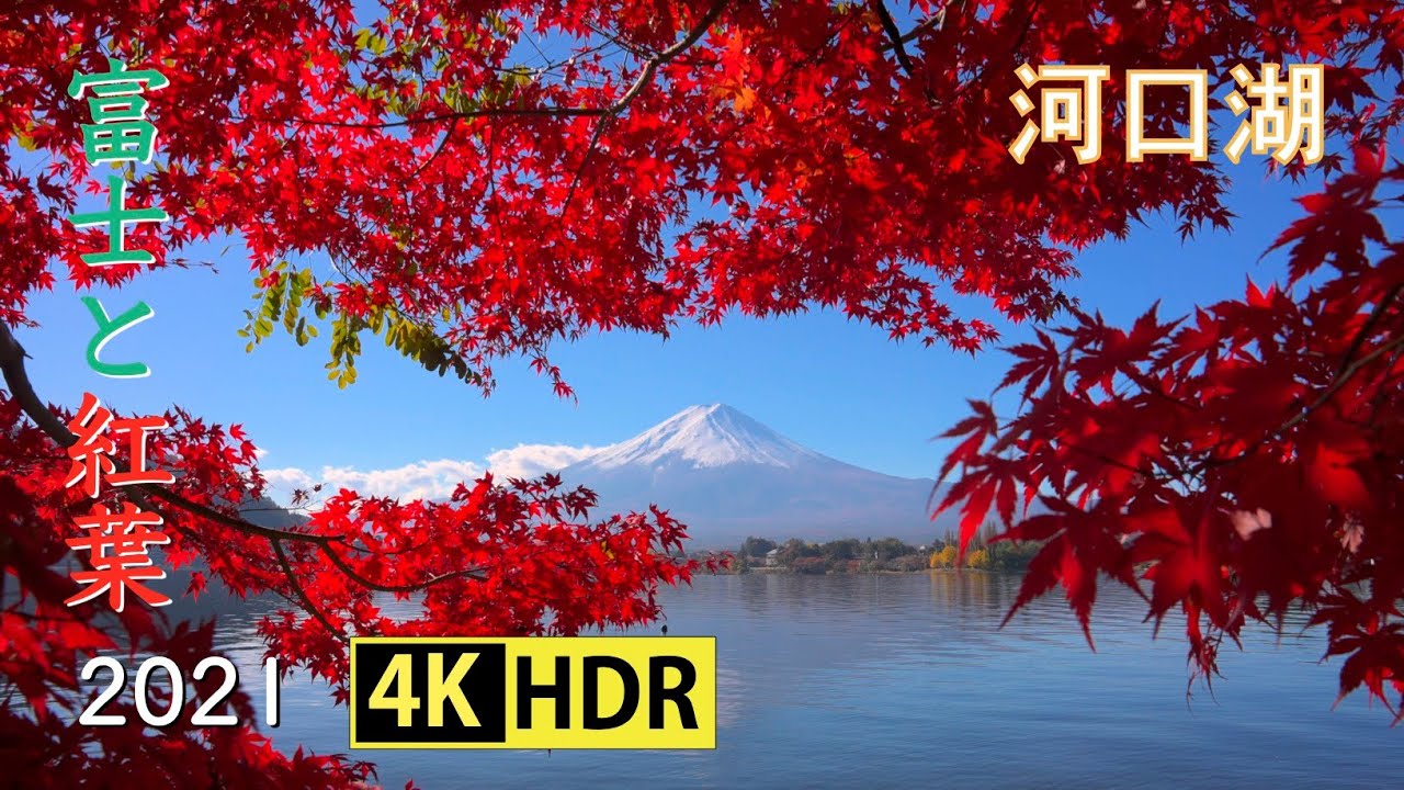 2021 河口湖の富士と紅葉(4K-HDR) Mt.Fuji & Autumn Colors At Lake Kawaguchi(UHD-HDR)