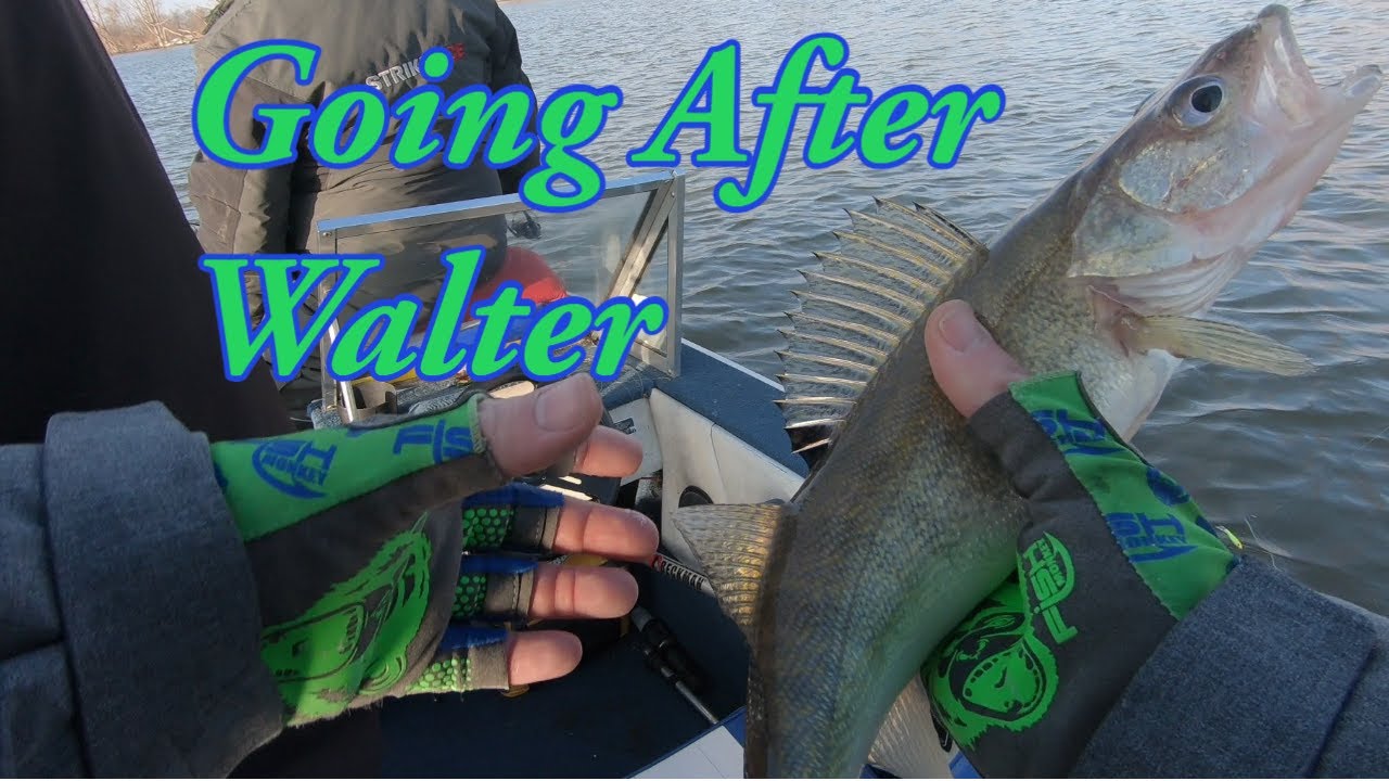 Saginaw River Walleye Fishing Late Fall/Early Winter THUMP'EM Style