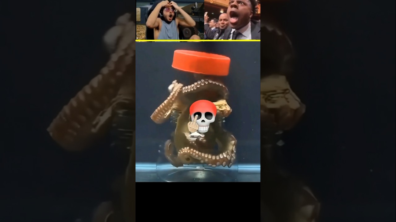In this video, the octopus did something so devilish 