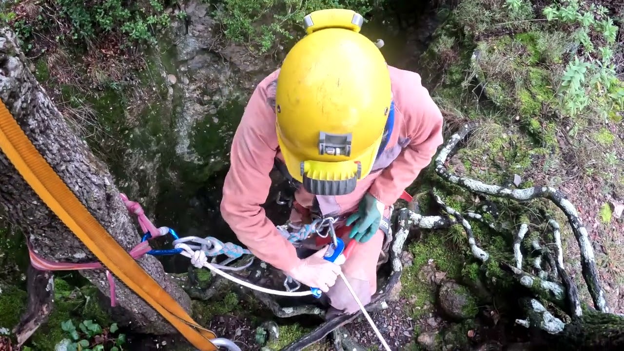 2026 02 10 SIS CET AVENC CASTELLSAPERA TECH4NATURE