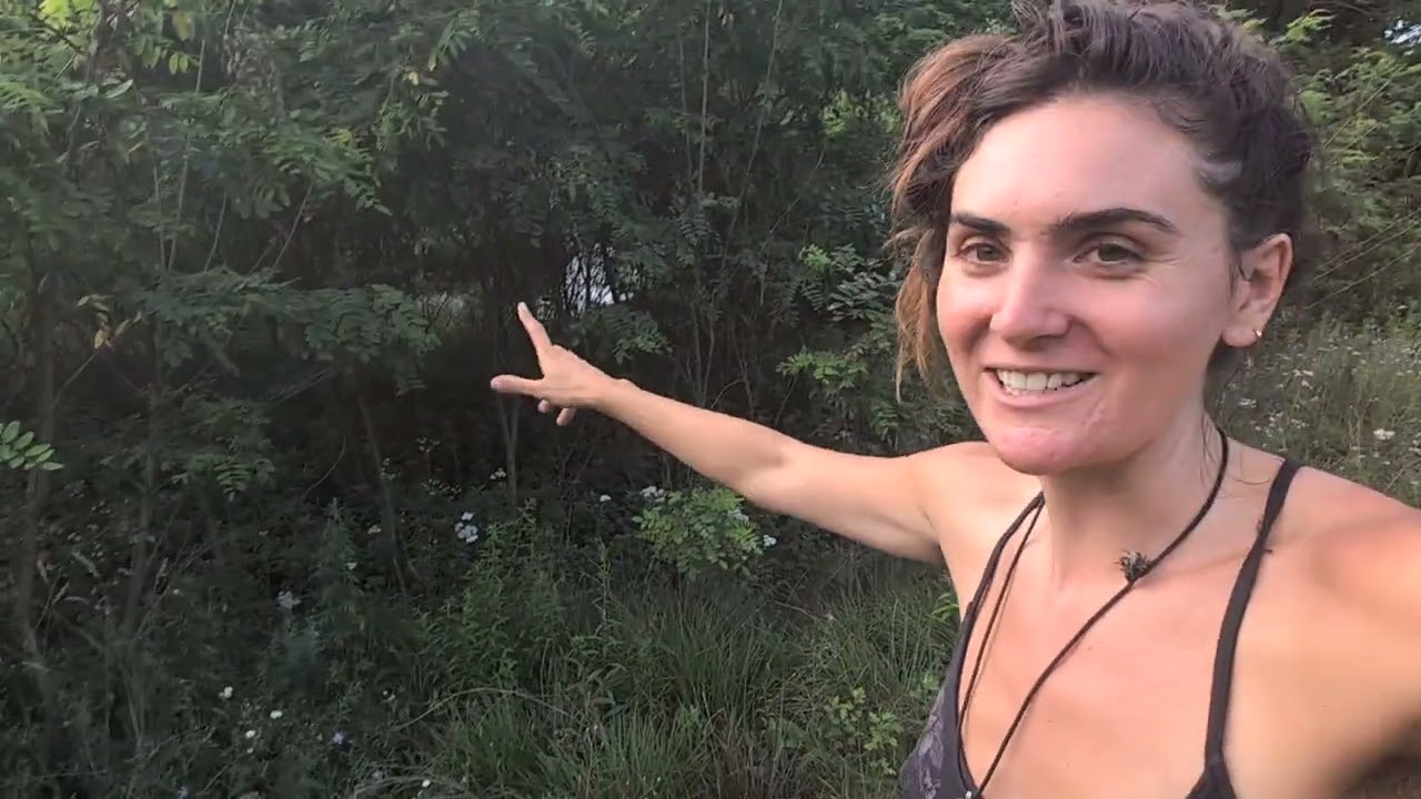 Asking the land for permission, our story of getting a well (part 2 dowsing) 