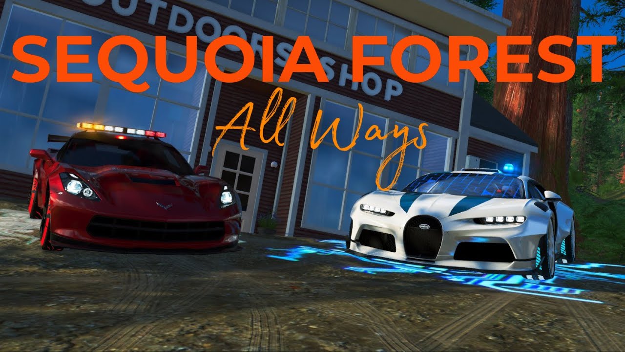 The Crew 2 | All Ways of Sequoia Forest Escape (100km +)