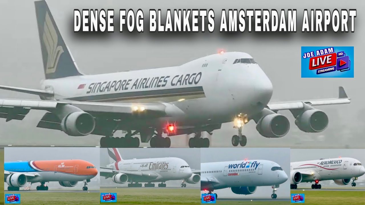 LIVE: MORE DENSE FOG Arrivals at Amsterdam Airport + ATC (Jan 18th 2025)