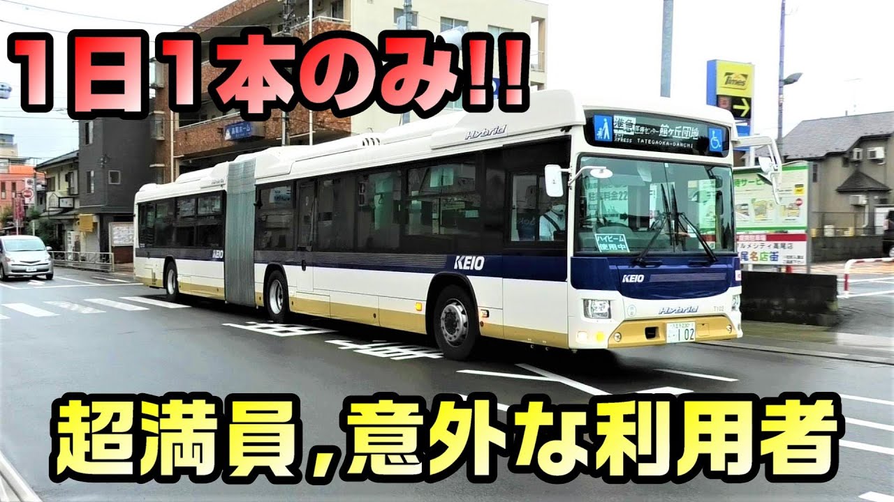 【1日1本】京王バス 準急館ヶ丘団地行きに乗車【日本の連節バス】