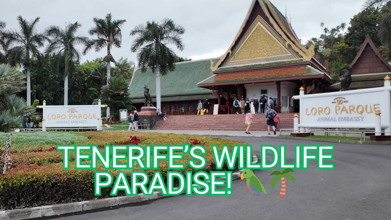 🌍 Inside Loro Parque – One of the Best Zoos in the World! 🏆🐘