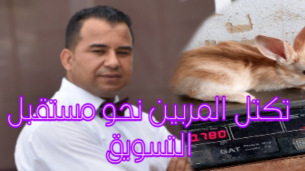قفزة نوعية في تسويق لحم الأرنب:  تكتل المربيين نحو إنشاء مجازر جهوية ودعم شامل للقطاع