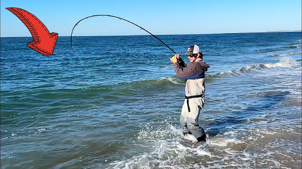 2 Hours of Catching the CRAZIEST Beach Fish!!