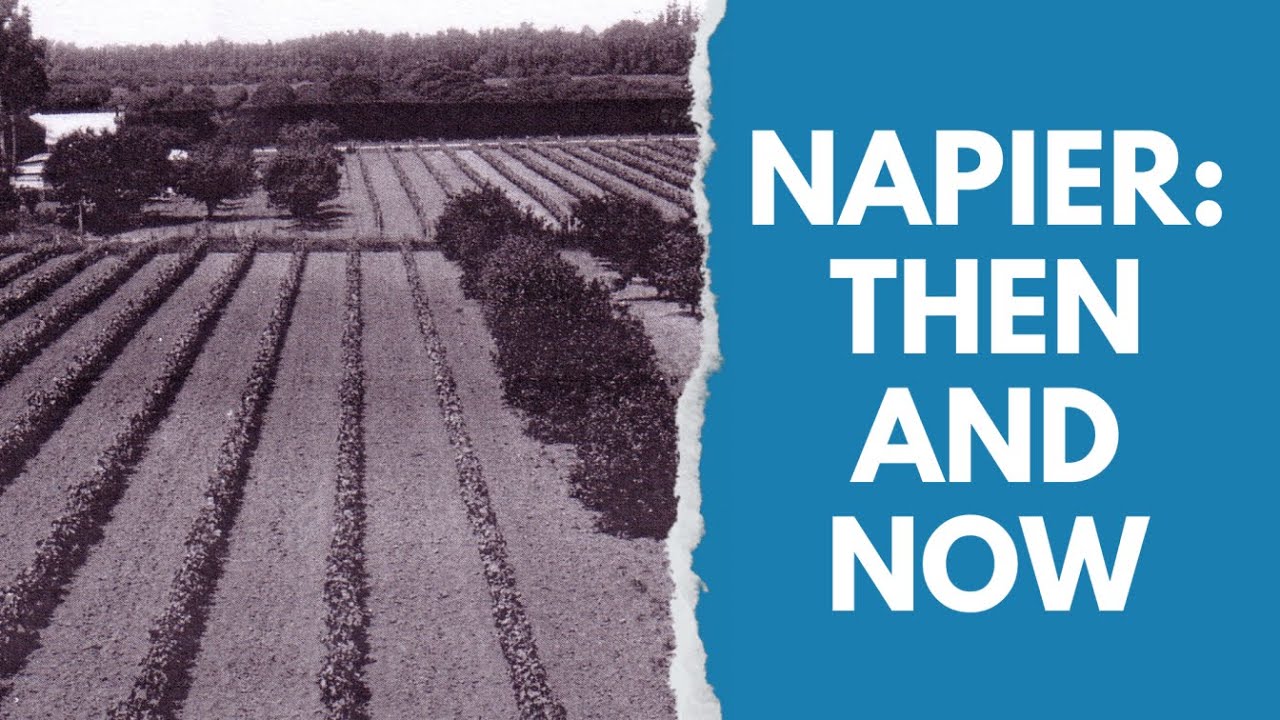 Napier: Then and Now #4 - Old Greenmeadows