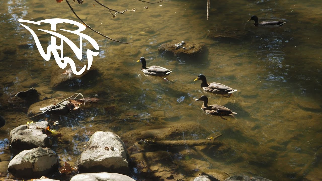 Cleaning the River! | IO Visits the White River Cleanup!