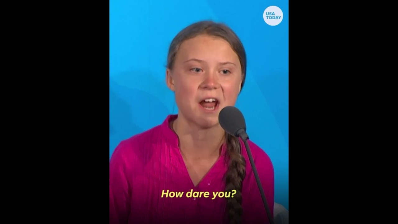 Rangelei bei Greta Thunberg Klima-Demo