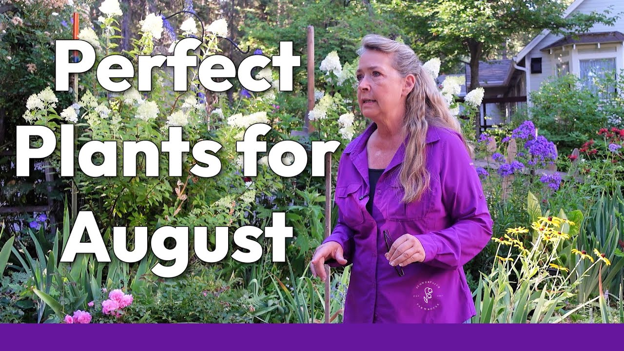 Must Have Plants for the August Garden - Blooms Till Frost