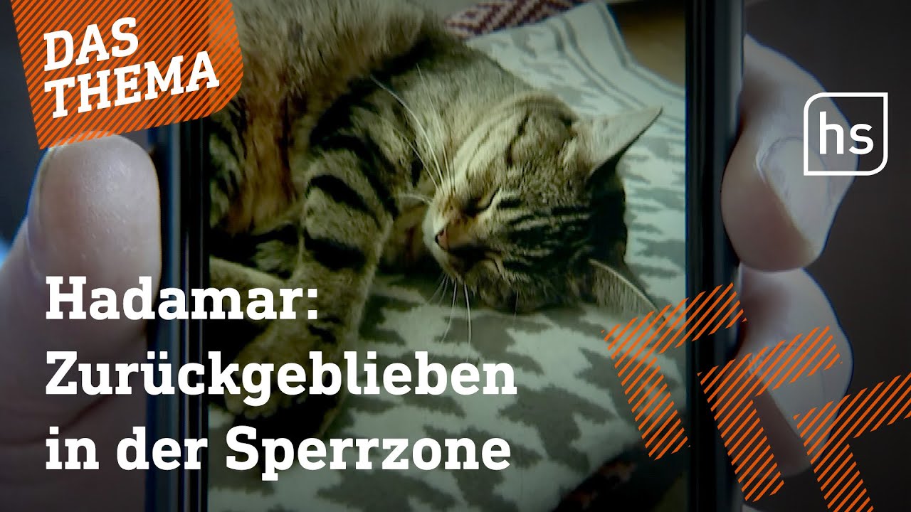 Wie sich die Feuerwehr in Hadamar um Haustiere kümmert | hessenschau