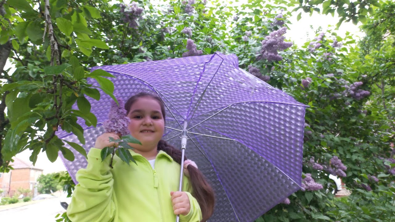 La T&acirc;rgul de Animale din Piața Mica Arad 🐣 | Ziua de Naștere a lui Luci  🎉 🎊