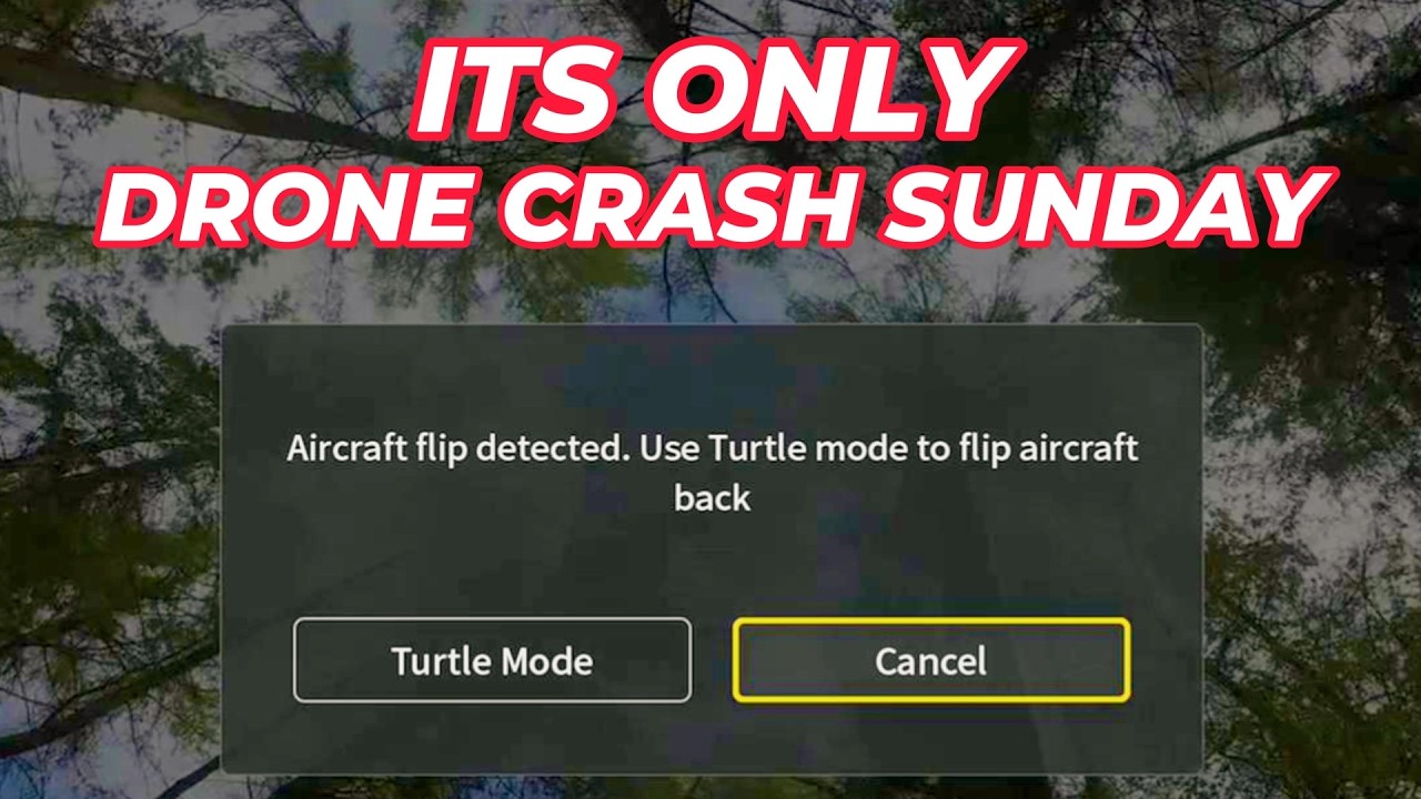 ITS ONLY DRONE CRASH SUNDAY / DJI NEO 2 / DJI AVATA 2 / ARGGHHH! 🤣😂