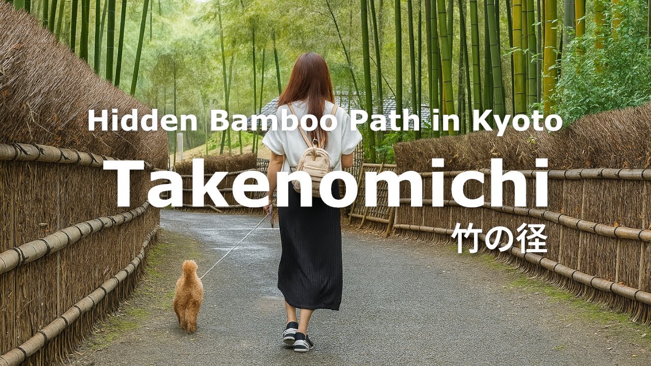 Hidden Bamboo Path in Kyoto | Takenomichi | Peaceful Dog-Friendly Walk in Japan