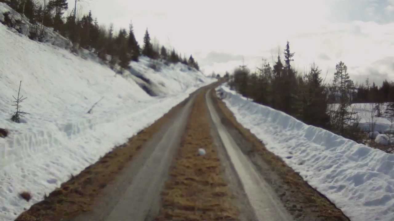 Børdalsveien, Selbu