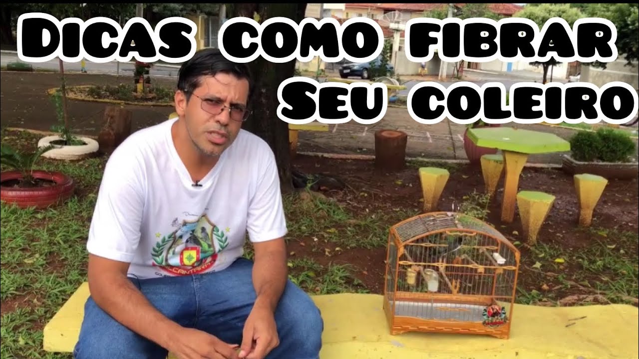Como fazer o coleiro pegar fibra