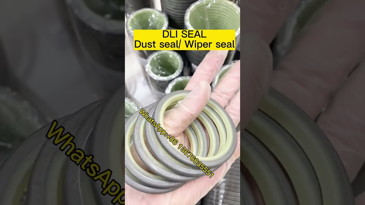 DLI Seal , dust seal, wiper seal, many different sizes, Pu hydraulic cylinder seal #WOMA #seal #DLI