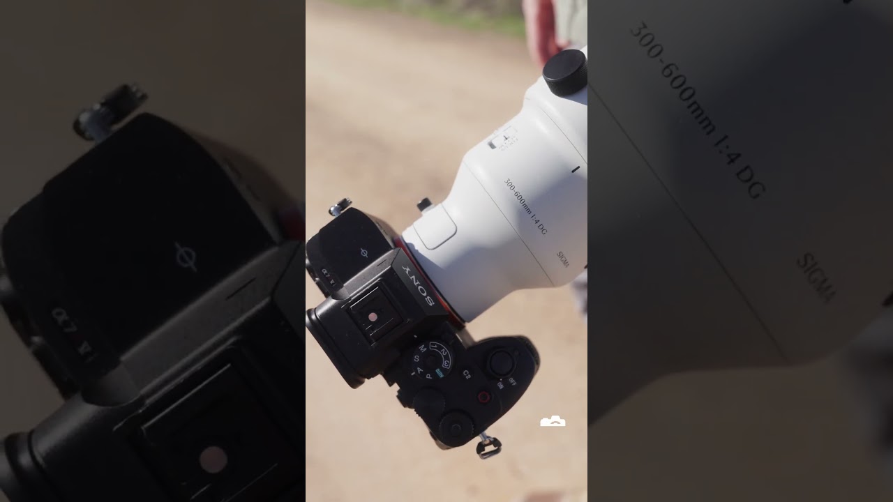 Sigma&rsquo;s 300-600mm Super Zoom &mdash; Worth the Hype?
