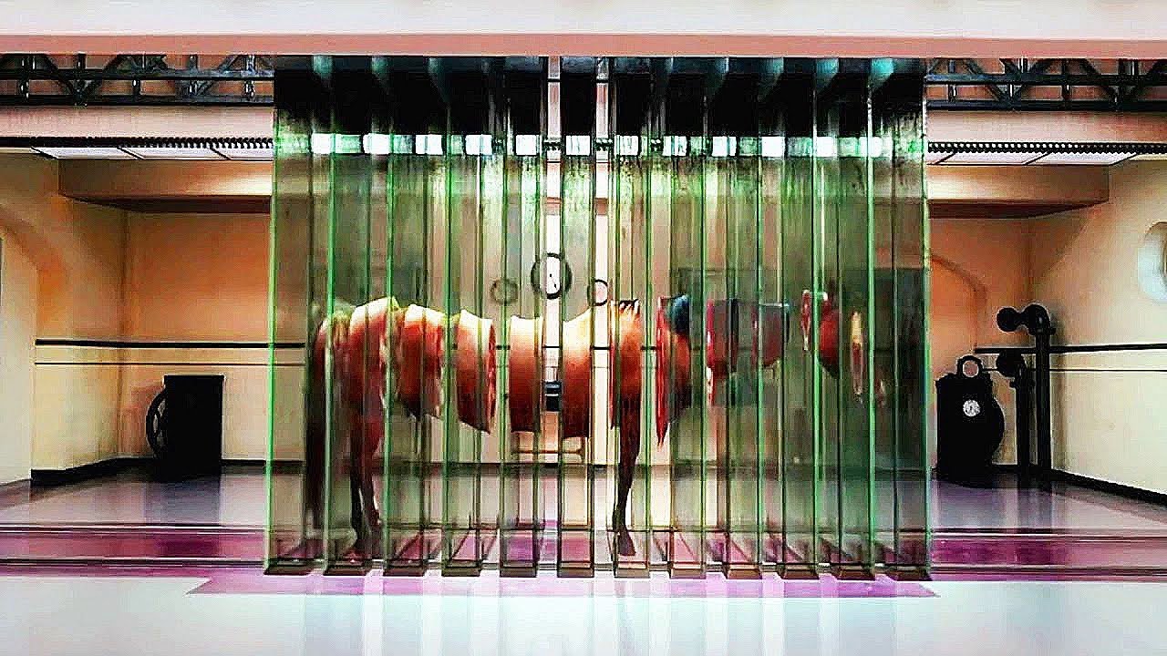 Она проникла в мозг ШИЗОФРЕНИКА, и вот что там находится