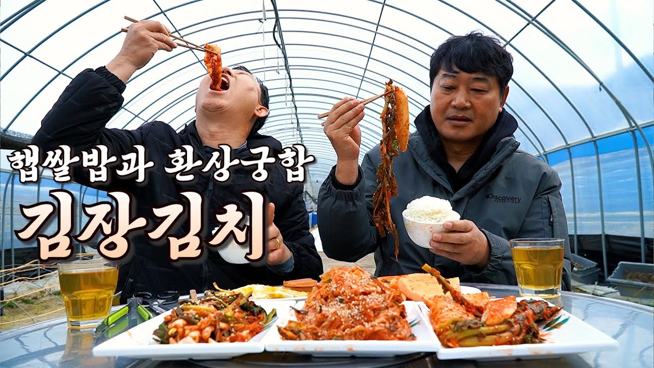 직접 농사지은 햅쌀에 김장김치를 얹어서 먹어보았습니다