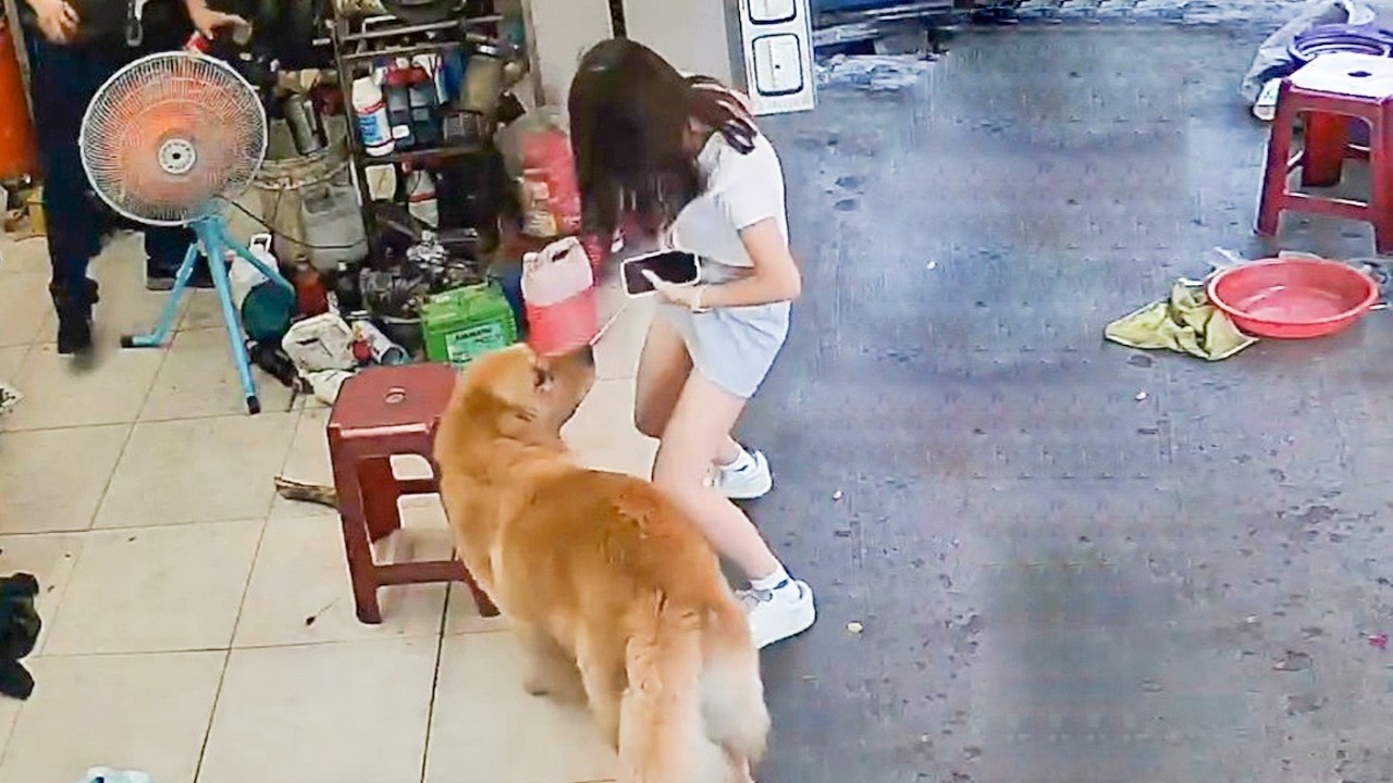 Camera Vô Tình Ghi Lại Những Khoảnh Khắc Xui Khó Đỡ Trong Cuộc Sống | Video Hài Hước