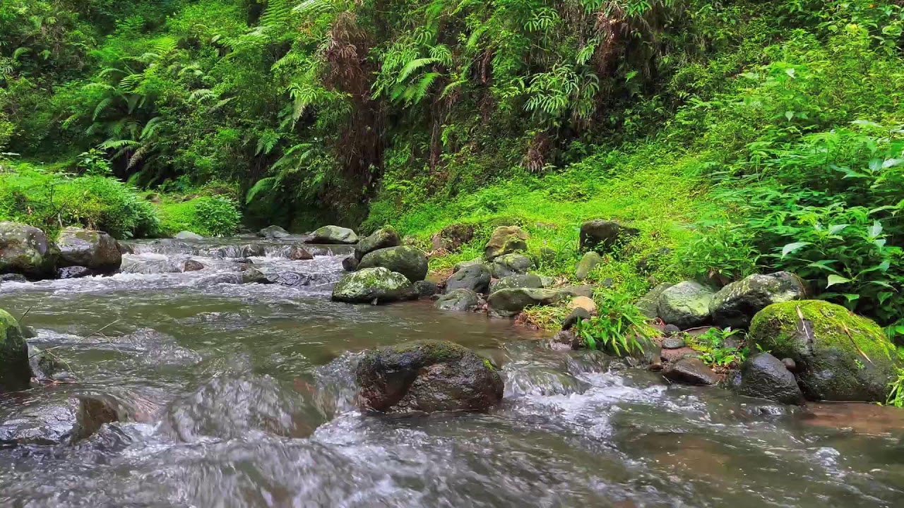 Shallow River Flow – Soothing Nature Sounds for Meditation