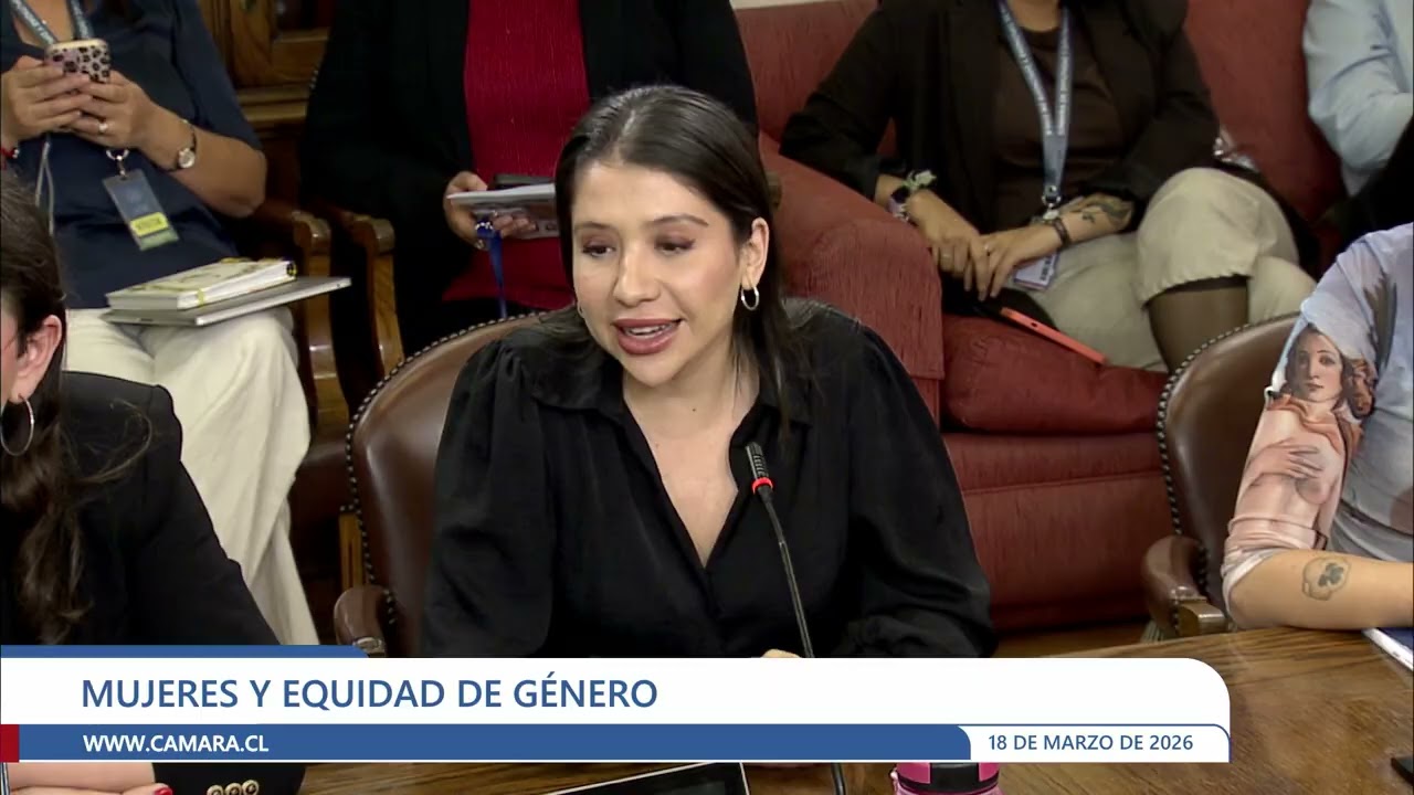 Comisión de Mujeres y Equidad de Género - Miércoles 18 marzo 2026