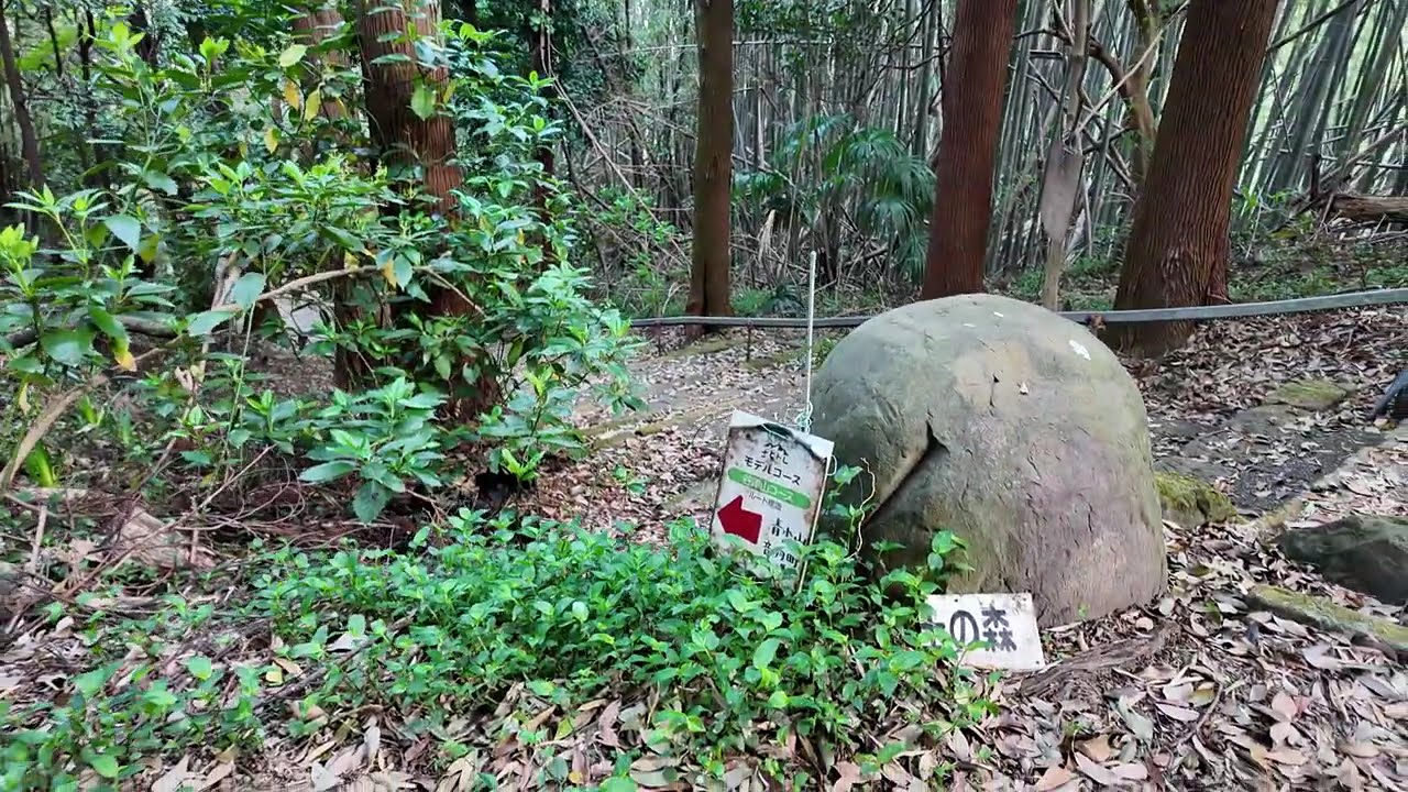 谷津山(108m)　長沼駅から 2025年4月