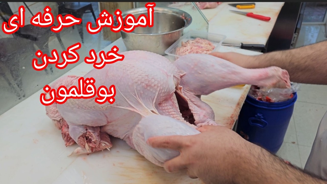 آموزش فوق حرفه ای پاک کردن و خرد کردن سینه بوقلمون | آموزش خرد کردن سینه بوقلمون برای انواع غذاها