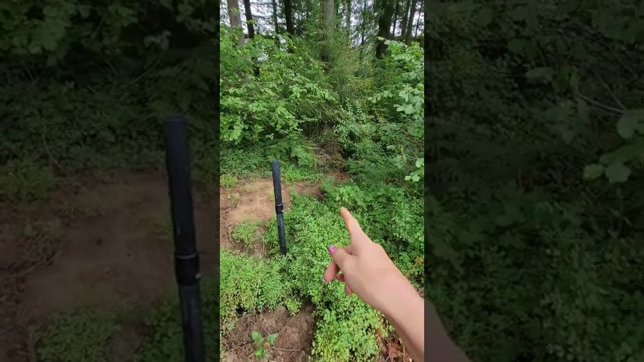 Camas house walk around