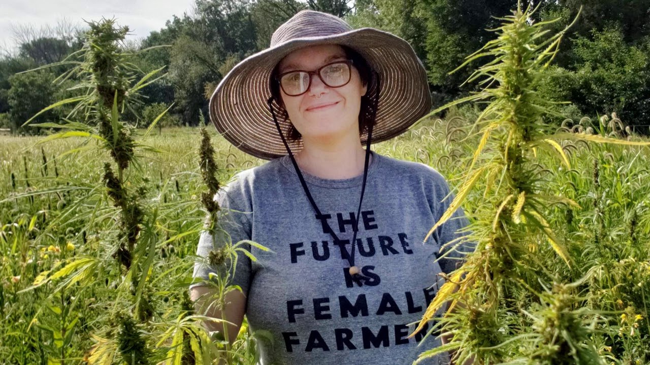 Growing Hemp in Illinois