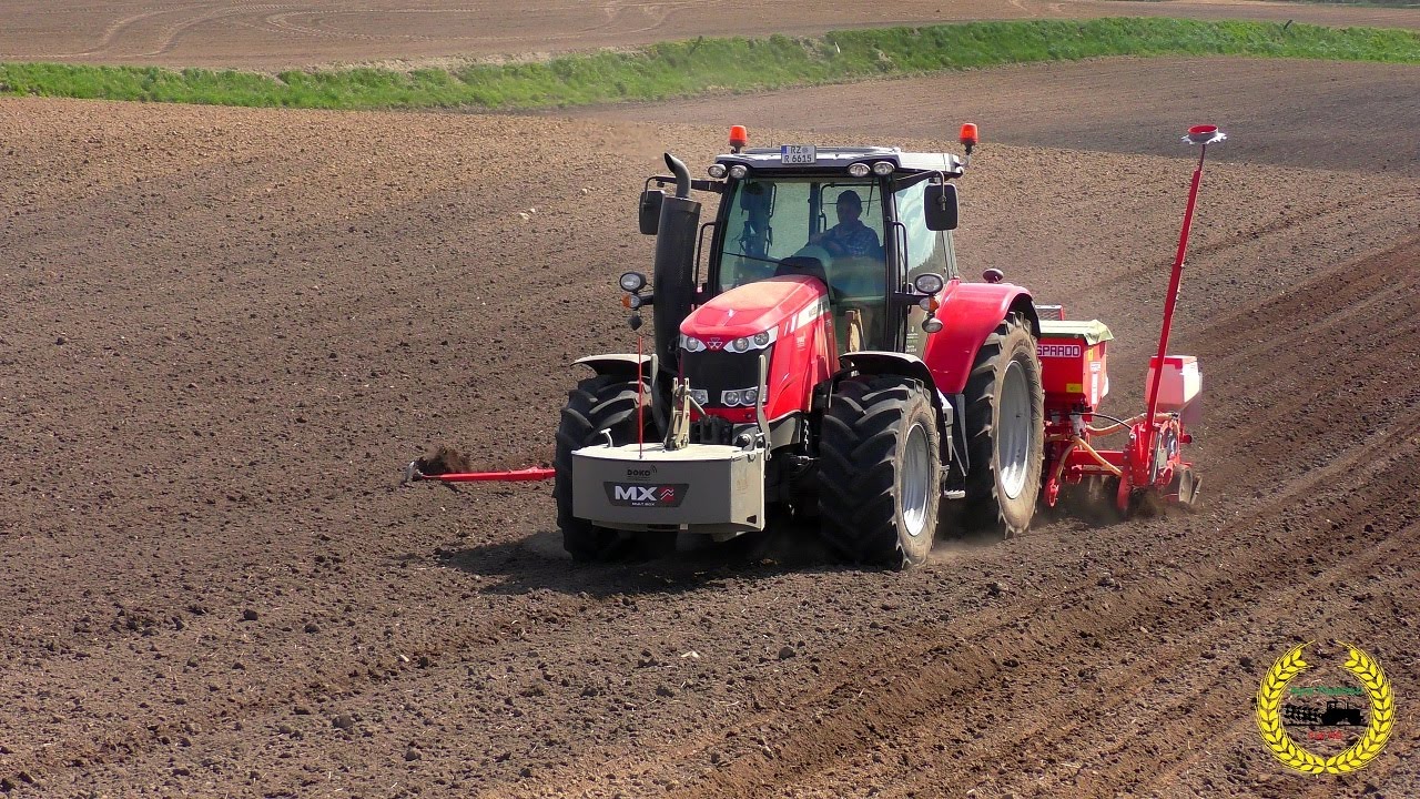 Massey Ferguson 6615 mit einer Gaspardo beim Maislegen 2016