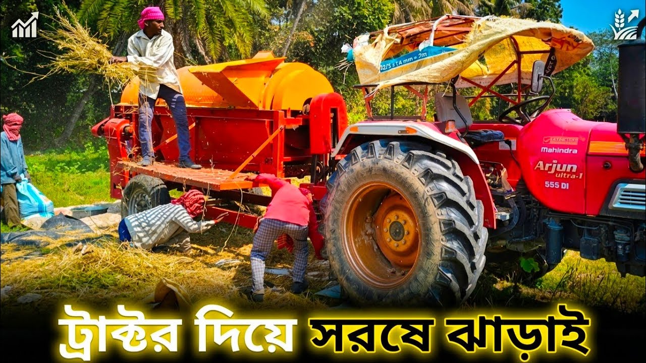 ট্রাক্টর দিয়ে সরষে ঝাড়াই । Mustard Threshing with a Tractor সরষে ঝাড়াই মেশিনের কাজ 🌾🚜