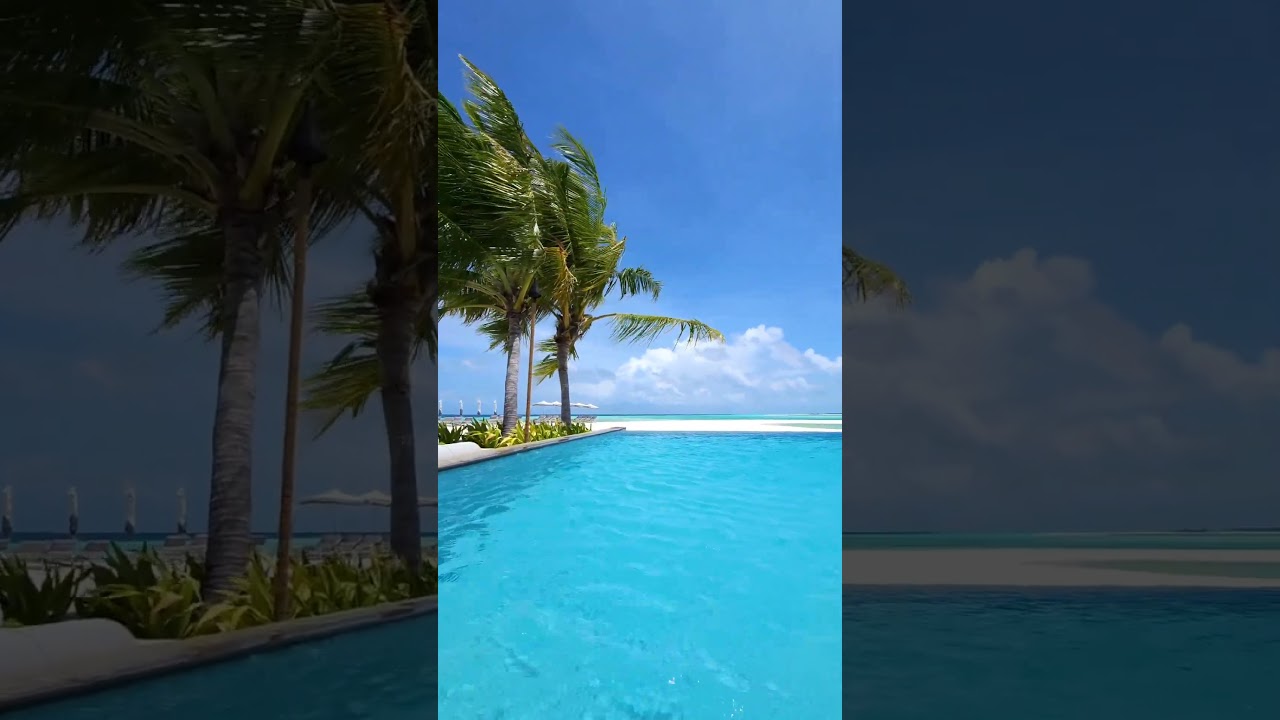 Welcome to the Maldives #travel #travelvlog #shorts #travel2024 #2024 #trip