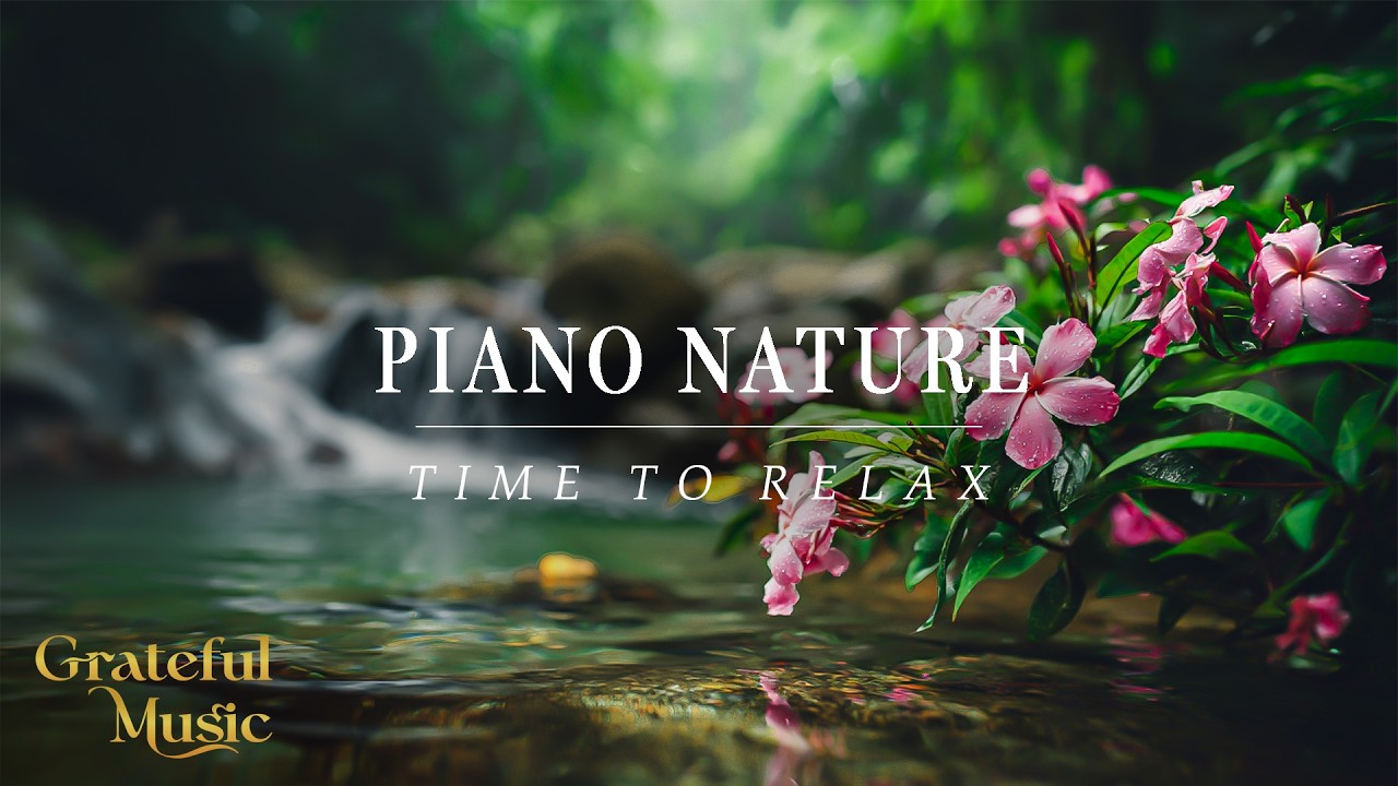 Piano Forest Journey | Relaxing Music with Nature Atmosphere