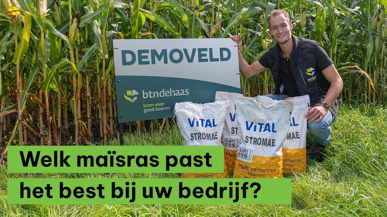 BoerENverstand: Welk maïsras past het best bij uw bedrijf?