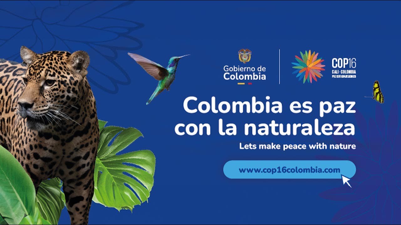 #EnVivo Ceremonia de Apertura de la COP16 #LlegaLaCOP16