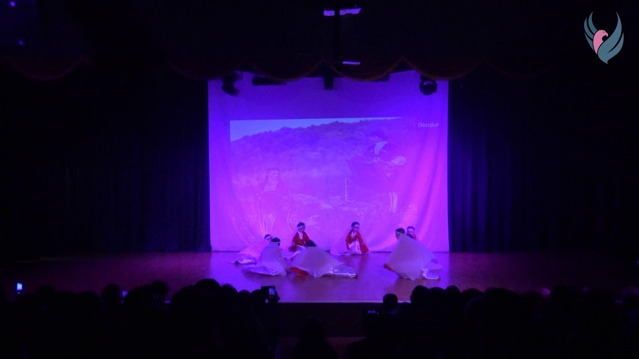 Şahin Dans Gecesi