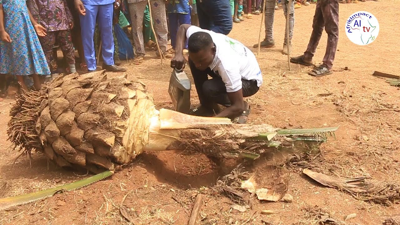 Togo : Edézan 2024 célébrée avec faste à Homa