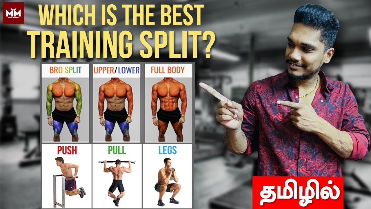 Which is the Best Training Split? | தமிழில்