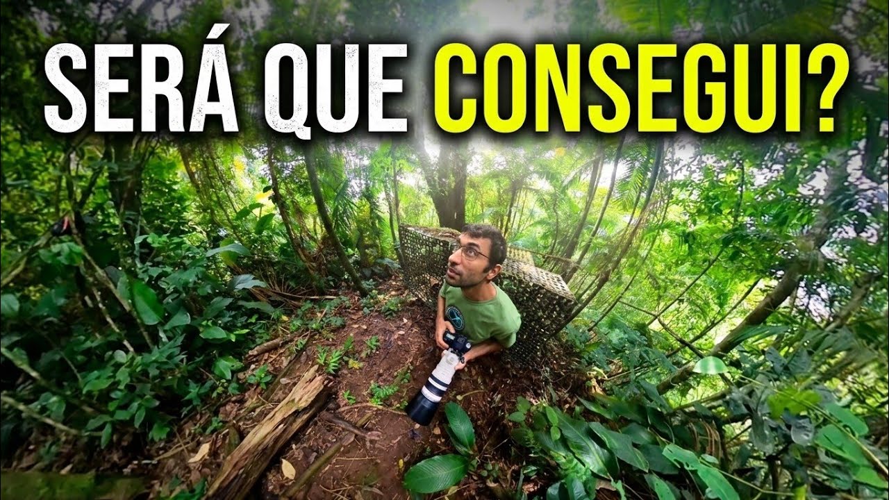Passarinhada no Sítio | Em Busca de uma Espécie | Moto e Passarinhos #02