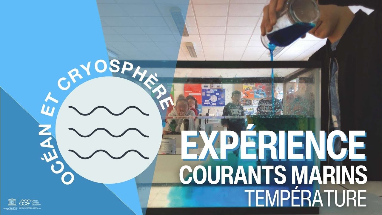 Exp&eacute;rience &Eacute;ducative - L'impact de la temp&eacute;rature sur les courants marins