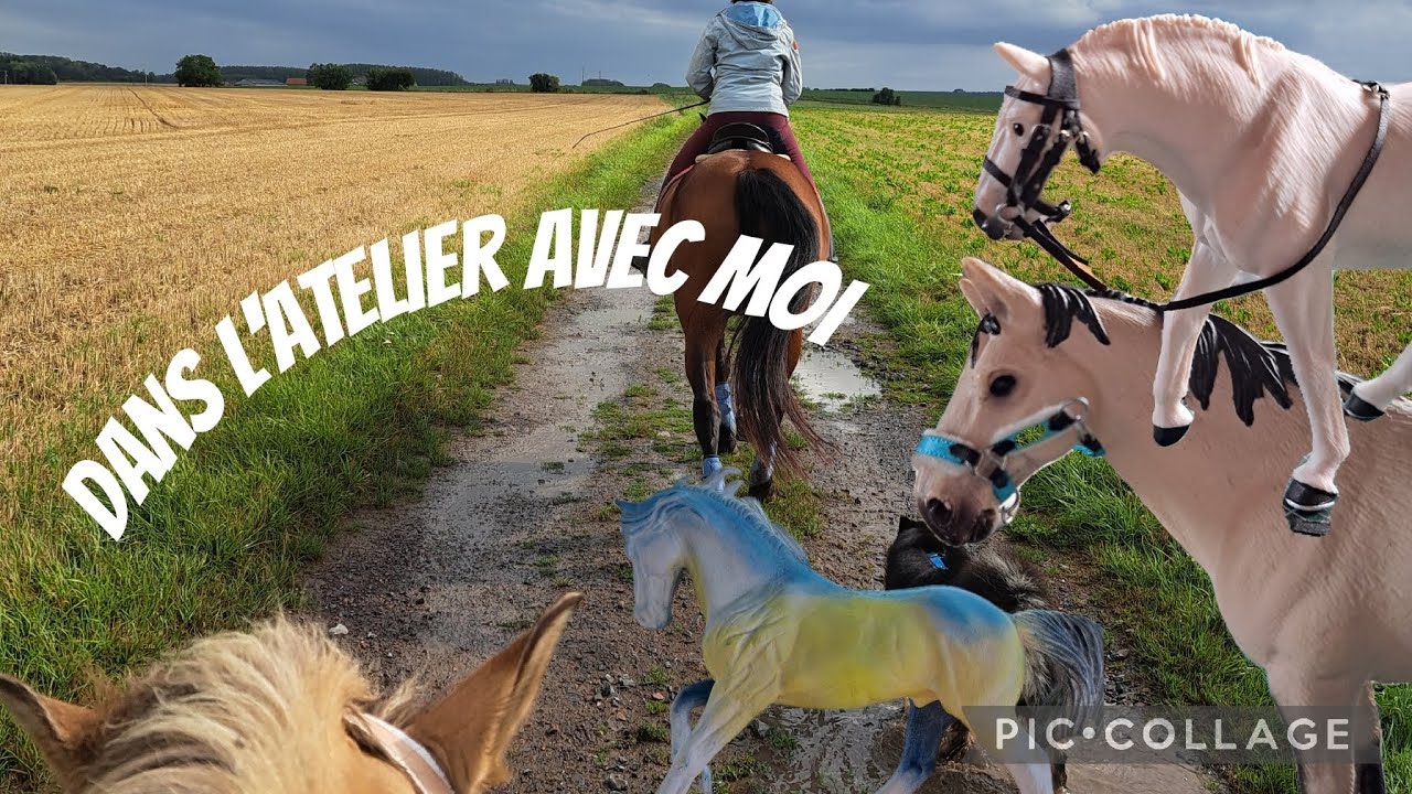 Je vous emmène avec moi ✂️🖌🏇