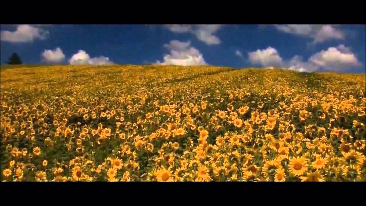 Roberto Cacciapaglia - Wind Song [HD]
