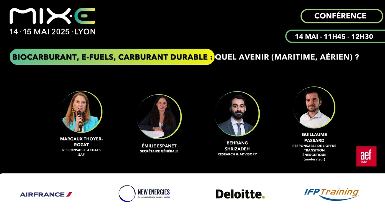 Biocarburant, e-fuels, carburant durable: quel avenir (maritime, aérien) ?