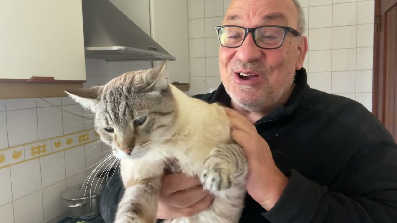 Uma bela dieta de maruca